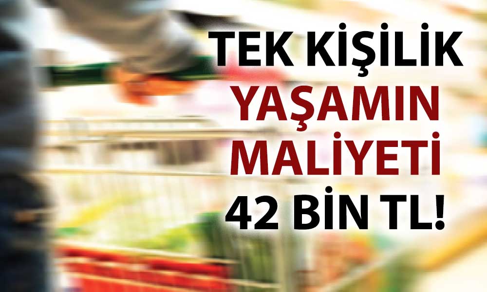 Yalnız yaşayanların yoksulluk sınırı asgari ücretin iki katına yaklaştı