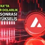 Avalanche Vakfı, ABD’de 1 milyar dolarlık hazine şirketi planlıyor