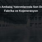 Barem Ambalaj’dan kağıt fabrikası ve kojenerasyon güncellemesi