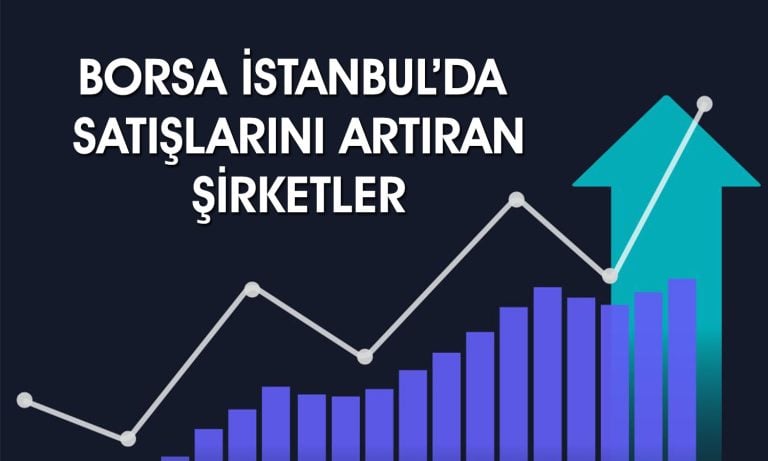 BIST 30’da son 5 yılda satışlarını en fazla artıran şirketler