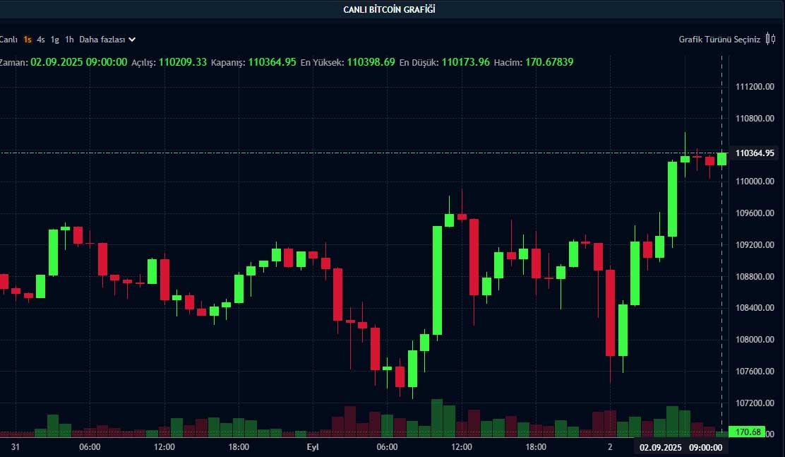 BTC fiyat grafiği BTC fiyat grafiği