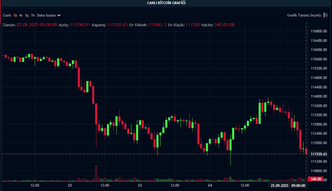BTC fiyat grafiği