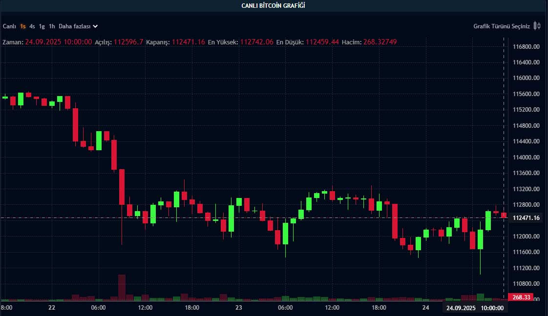 BTC fiyat grafiği