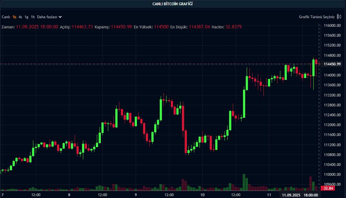 BTC fiyat grafiği