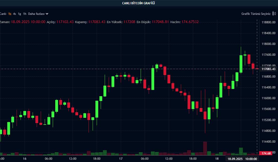 BTC fiyat grafiği