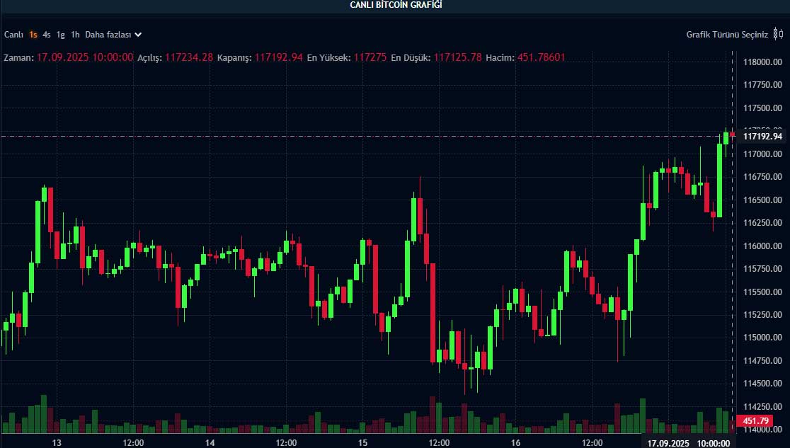 BTC fiyat grafiği