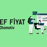 DOAS için dört farklı hedef fiyat: 297 TL’yi aşacak mı?