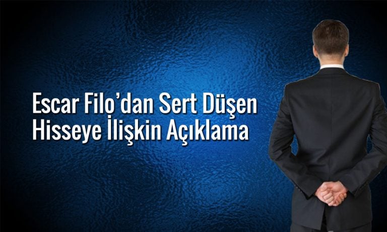 Hisse 71 TL’den 20 TL’ye geriledi: Escar’dan açıklama geldi