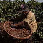 Kahve fiyatında sert dalgalanma: Oynaklık 4 yılın zirvesinde