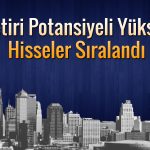 Kasasında döviz bulunan ve getiri potansiyeli yüksek 4 şirket