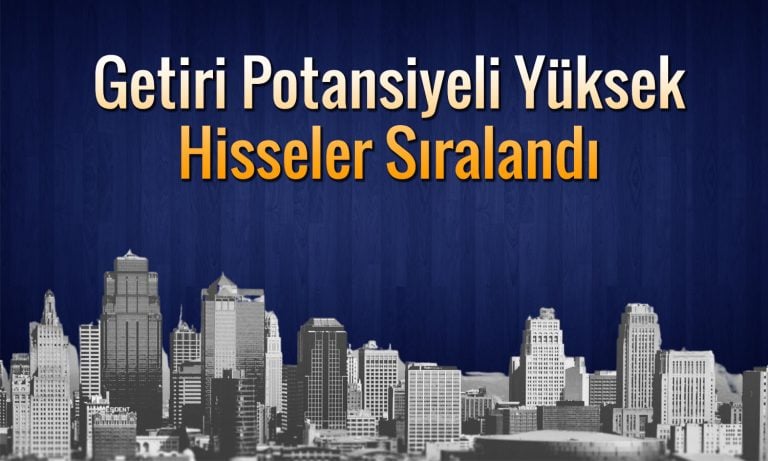 Kasasında döviz bulunan ve getiri potansiyeli yüksek 4 şirket