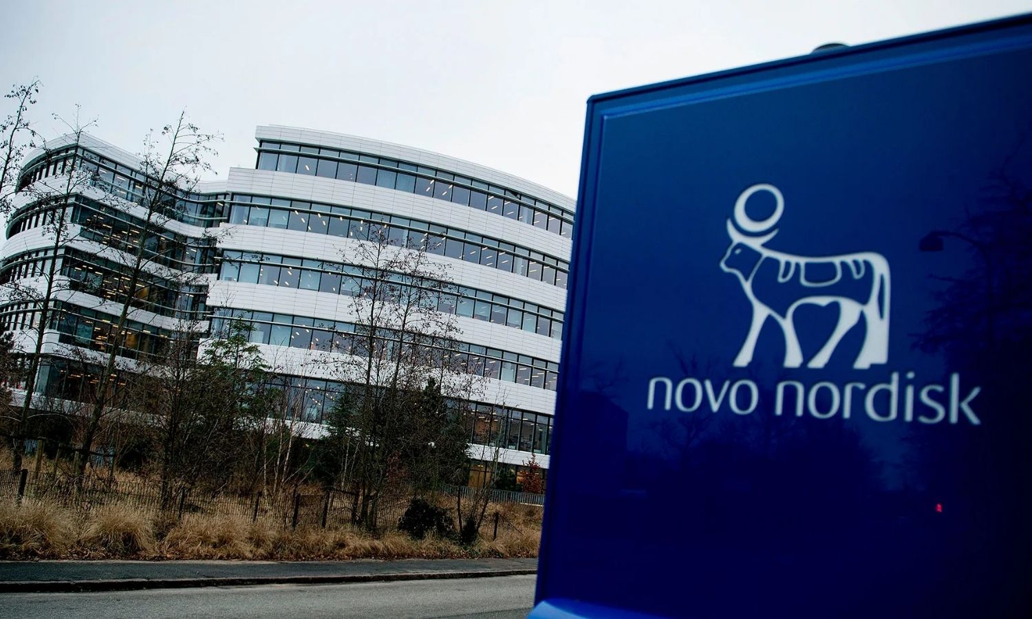Novo Nordisk’ten 9 bin kişilik küresel işten çıkarma planı