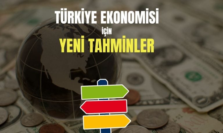 OECD’den Türkiye için büyüme ve enflasyon güncellemesi