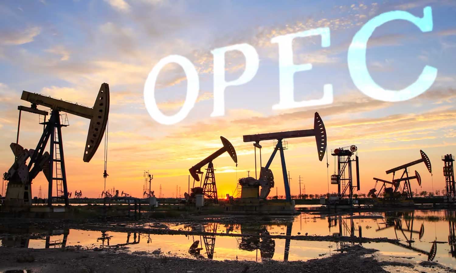 OPEC:  Petrol talebinde büyüme sürecek