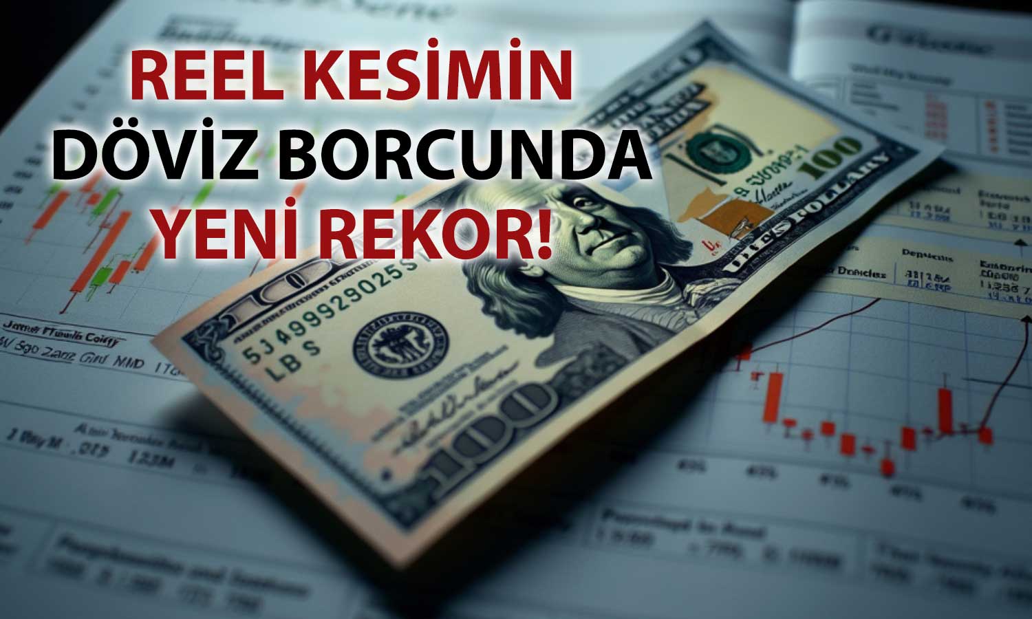 Reel sektörün döviz borcunda 351,5 milyar dolar ile yeni rekor