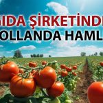 Tat Gıda’dan Avrupa hamlesi: Hollanda’da şirket kurdu