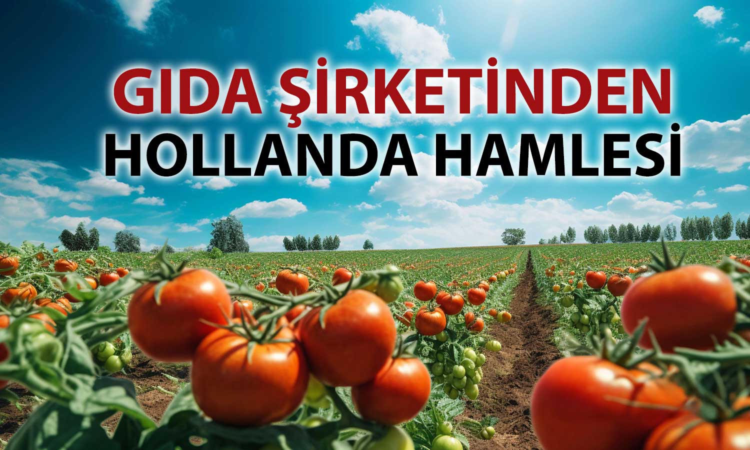 Tat Gıda’dan Avrupa hamlesi: Hollanda’da şirket kurdu