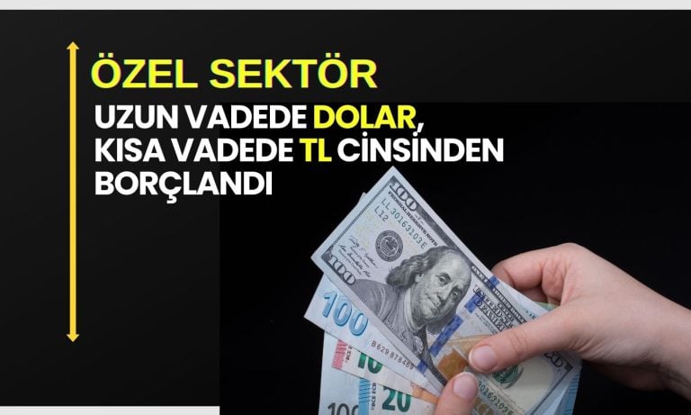 TCMB: Kısa vadeli borçlarda tl’nin payı yüzde 47’yi aştı