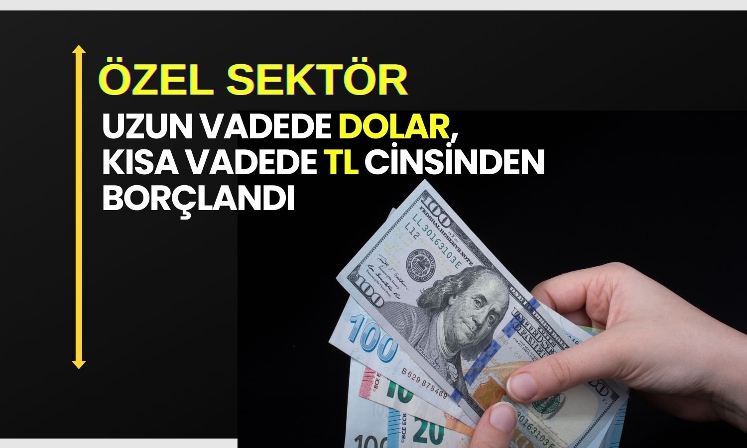 TCMB: Kısa vadeli borçlarda tl’nin payı yüzde 47’yi aştı