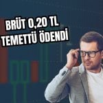 Türkiye Sigorta hissedarlarına 2 milyar TL temettü ödedi