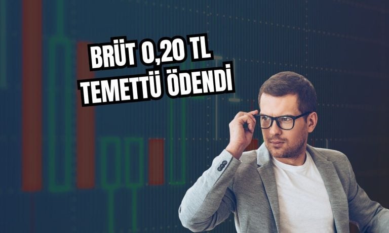 Türkiye Sigorta hissedarlarına 2 milyar TL temettü ödedi