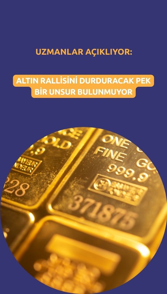 Uzmanlar