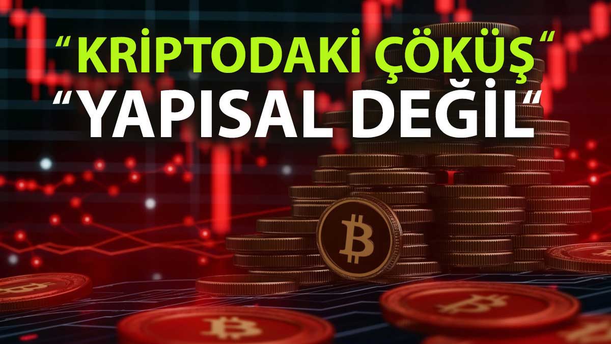 Bitwise CIO’su: Kripto çöküşü sonrası paniğe gerek yok