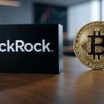 BlackRock/Fink: Merkez bankaları dijital dönüşüme hazırlıksız