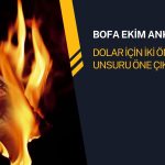 BofA Ekim anketi: Dolar için iki önemli risk vurgusu