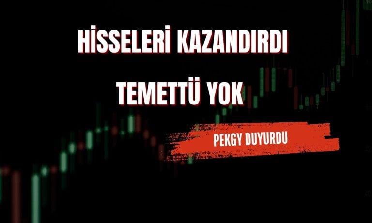 Borsanın yüzde 861 kazandıran GYO şirketi: Temettü yok