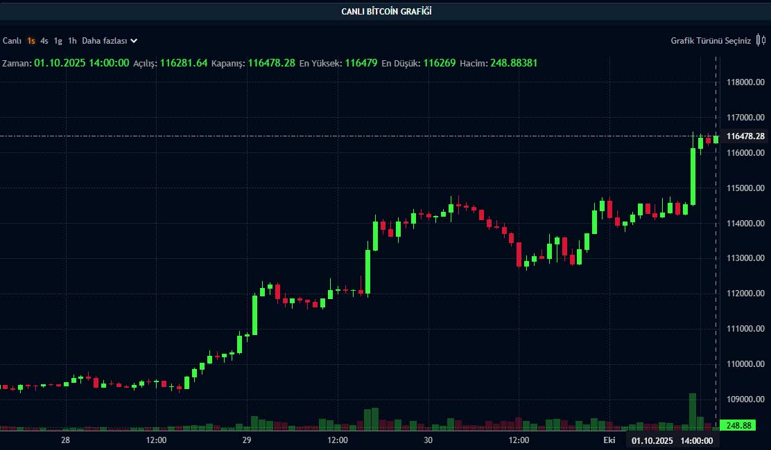 BTC fiyat grafiği