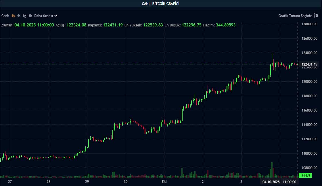 BTC fiyat grafiği