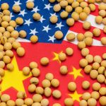 Çin Trump öncesi ABD’den aylar sonra ilk soya fasulyesi alımını yaptı
