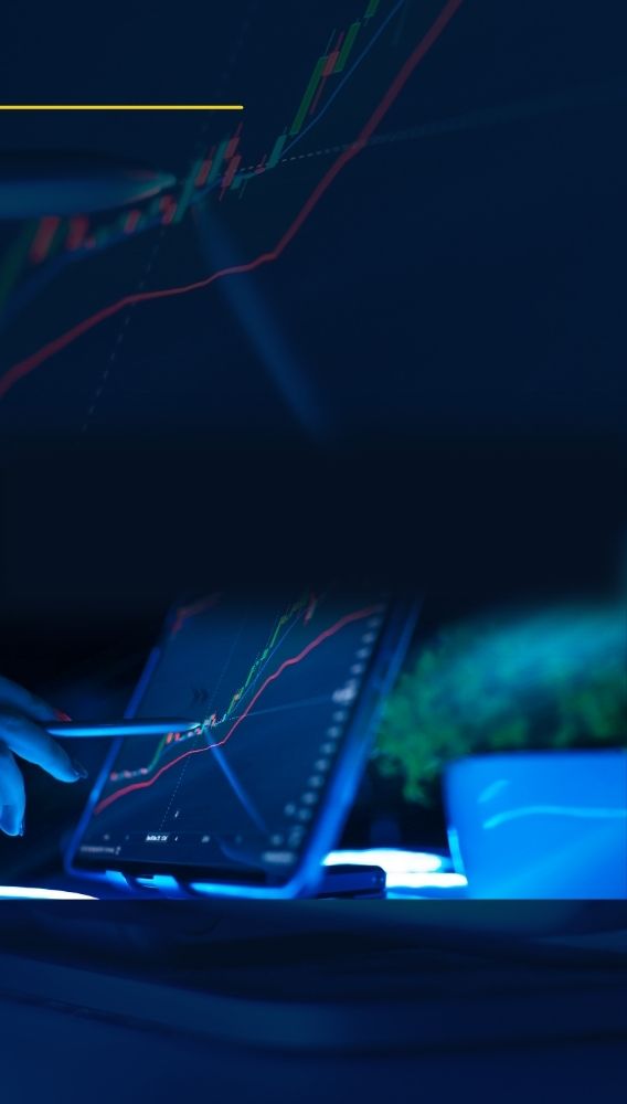 DCT Trading, Edirne’de yaban mersini üretimine başlıyor