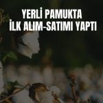 DCTTR, 2025/26 sezonu Türk pamuğu alım satımına başladı