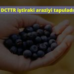 DCTTR’den tarım yatırımı: 206 dönüm arazi tescil edildi