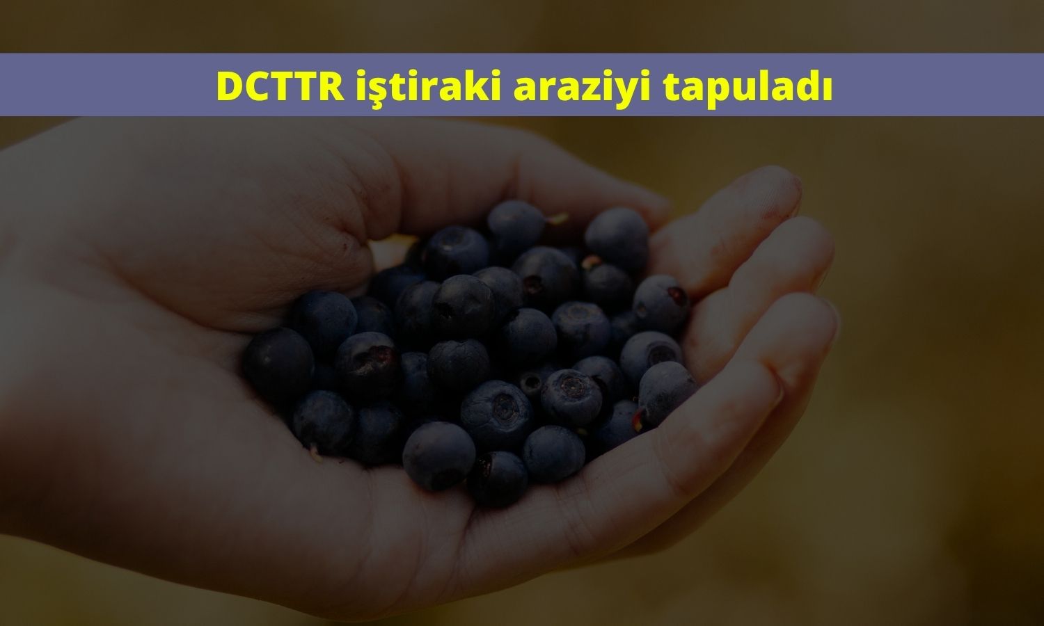 DCTTR’den tarım yatırımı: 206 dönüm arazi tescil edildi