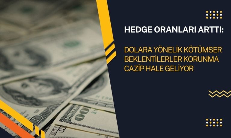 Dolara yönelik kötümser beklentiler hedge oranlarını artırdı