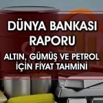 Dünya Bankası açıkladı: Altın ve gümüş yüzleri güldürecek