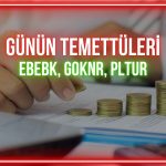 Günün temettü ödemeleri: EBEBK, GOKNR, PLTUR