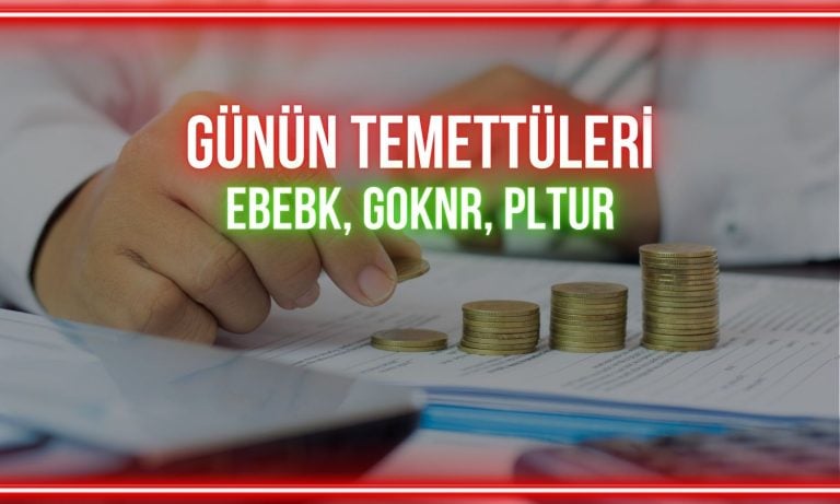 Günün temettü ödemeleri: EBEBK, GOKNR, PLTUR