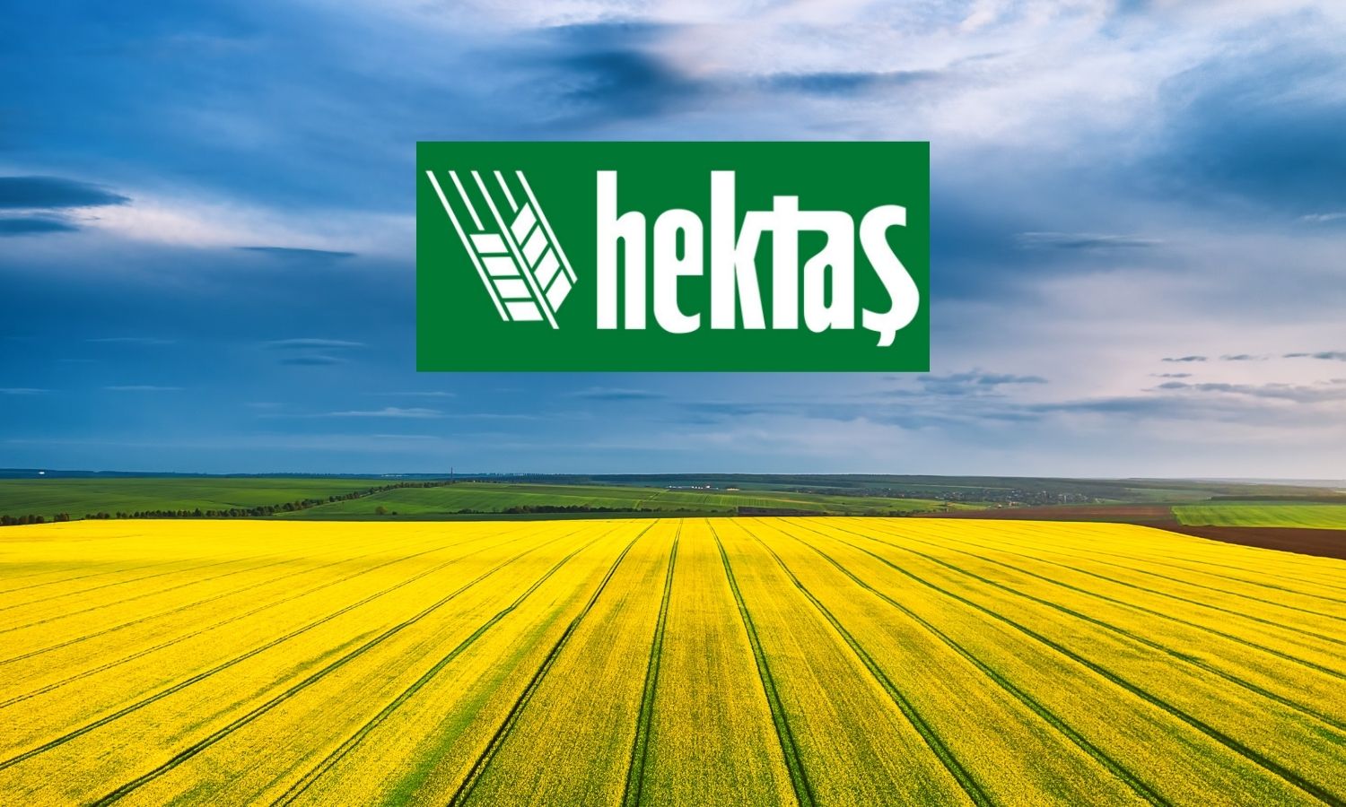 Hektaş’tan (HEKTS) ortaklık görüşmesi açıklaması geldi