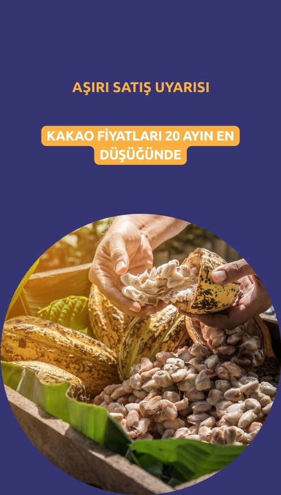 Kakao fiyatları 20 ayın en düşüğünde: 'Aşırı satış' uyarısı