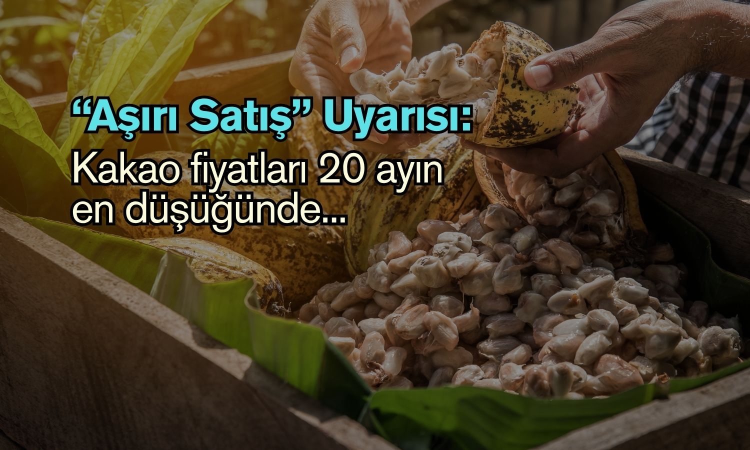 Kakao fiyatları 20 ayın en düşüğünde: ‘Aşırı satış’ uyarısı