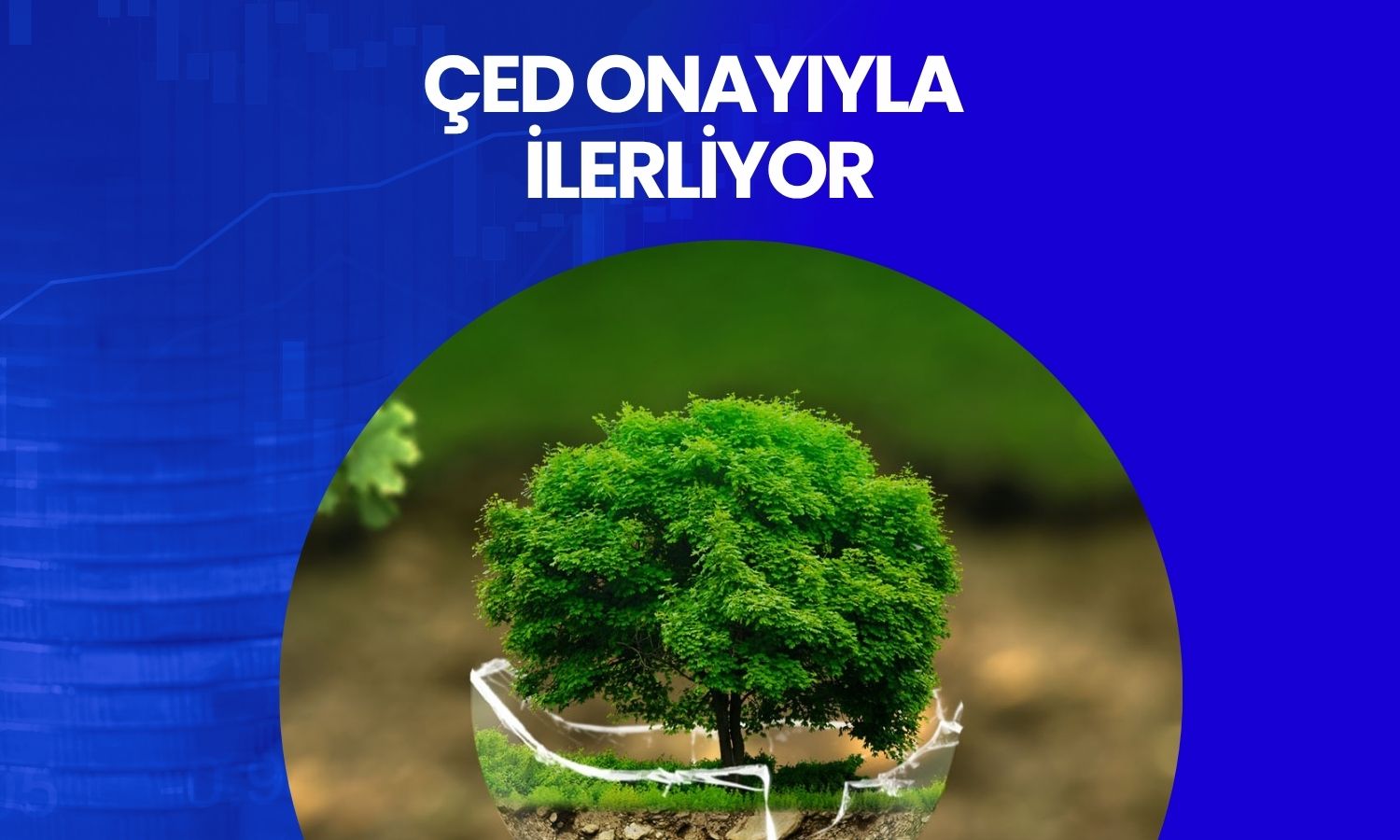 Kızılbük GYO’nun Marmaris projesine ÇED onayı kesinleşti