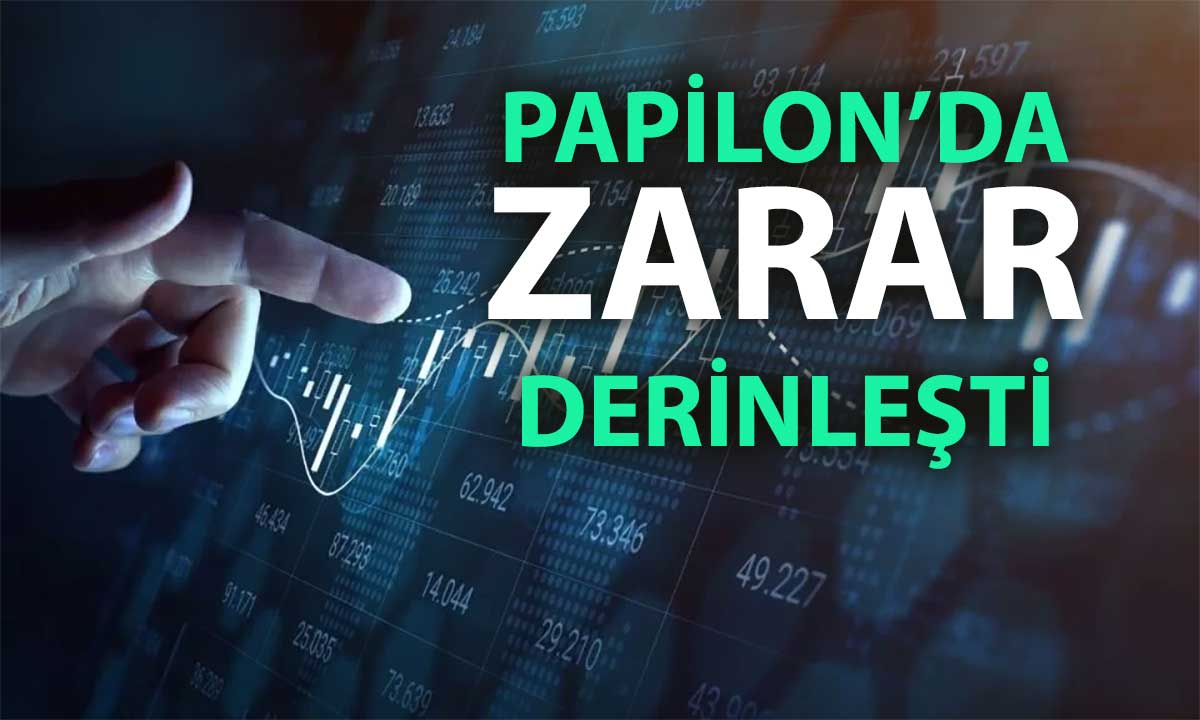 Papilon Savunma'da 9 aylık net zarar 48,5 milyon TL'ye ulaştı