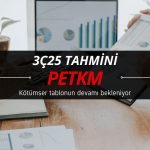 Petkim (PETKM) 3Ç25’te de kötü bir tablo çizebilir