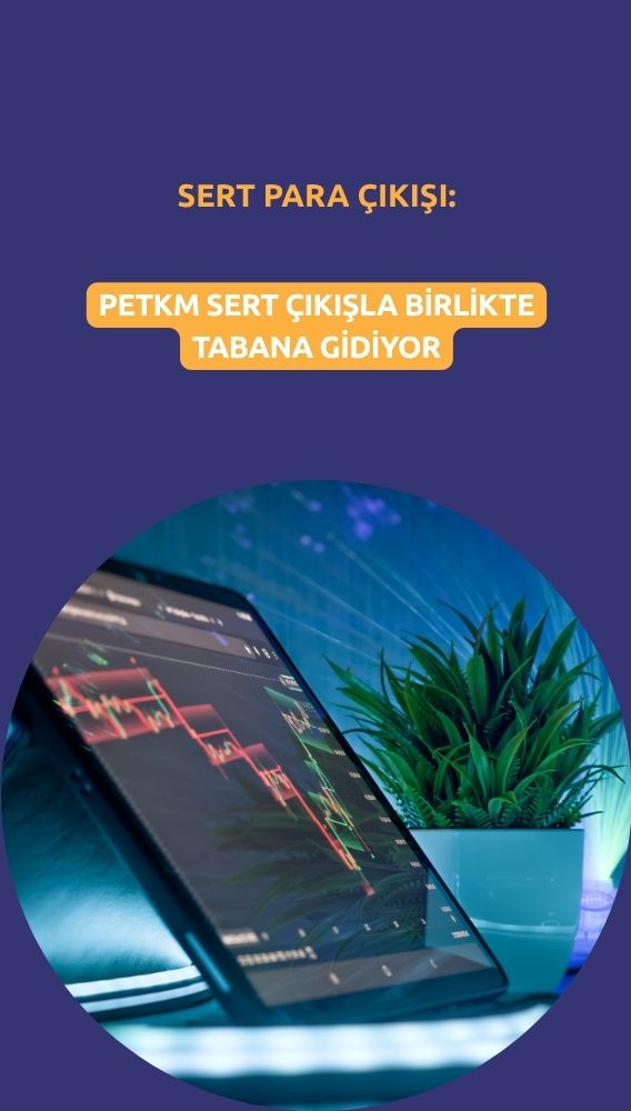 Borsadan sert çıkış: PETKM 236,7 milyon TL ile zirvede