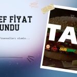 Tab Gıda (TABGD) hedef fiyatı korundu: Bilanço olumlu geldi