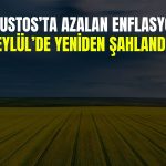 Tarımda üretici enflasyonu Eylül’de hızlandı!